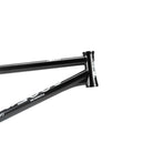 Wethepeople Doomsayer Frame / Jordan Godwin Signature Product  21" TT Black