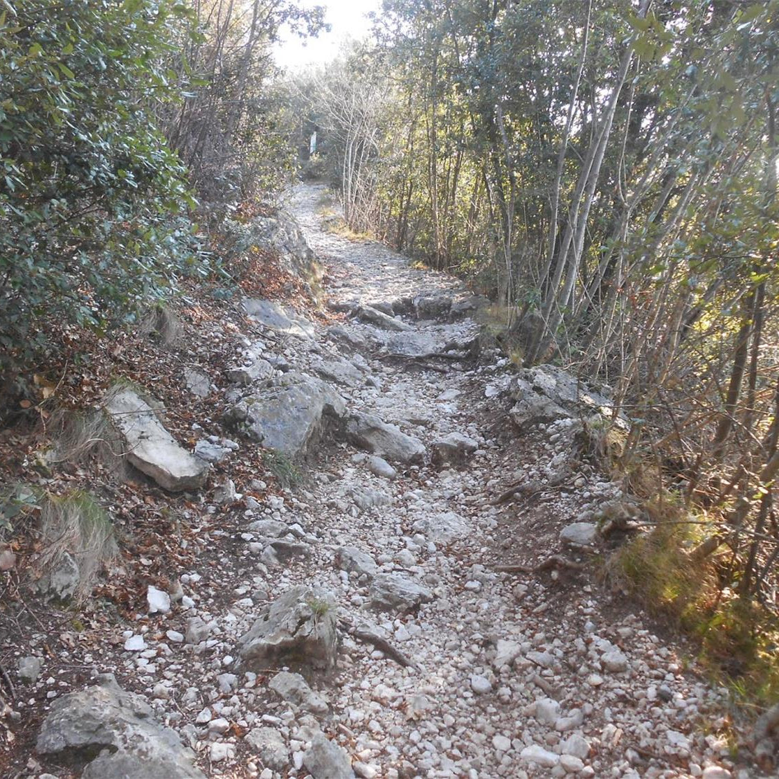mixed MTB