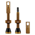 chris-king-peatys-tubeless-valves-Bourbon