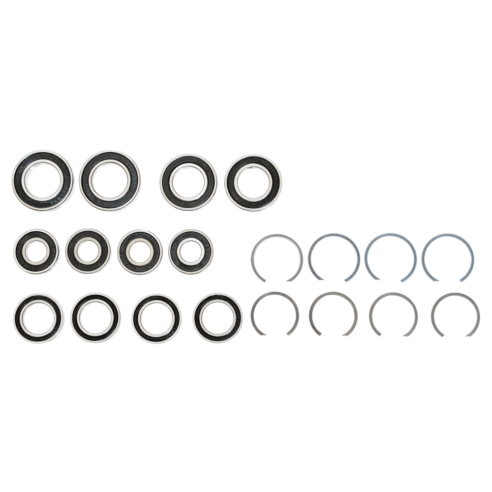 GT LTS Force / Sensor Pivot Link / Chain Stay Bearings