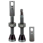 chris-king-peatys-tubeless-valves-Slate
