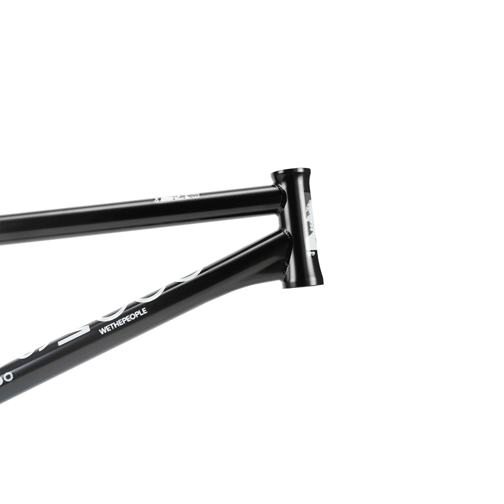 Wethepeople Doomsayer Frame / Jordan Godwin Signature Product  21" TT Black
