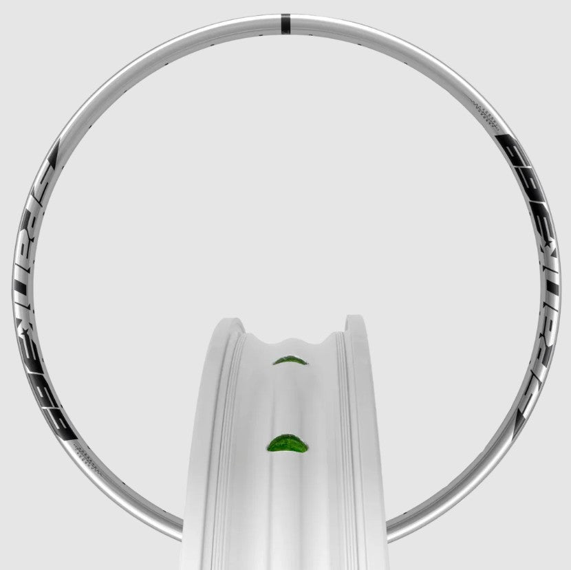 SI-RR71-VC-SILVER (1)