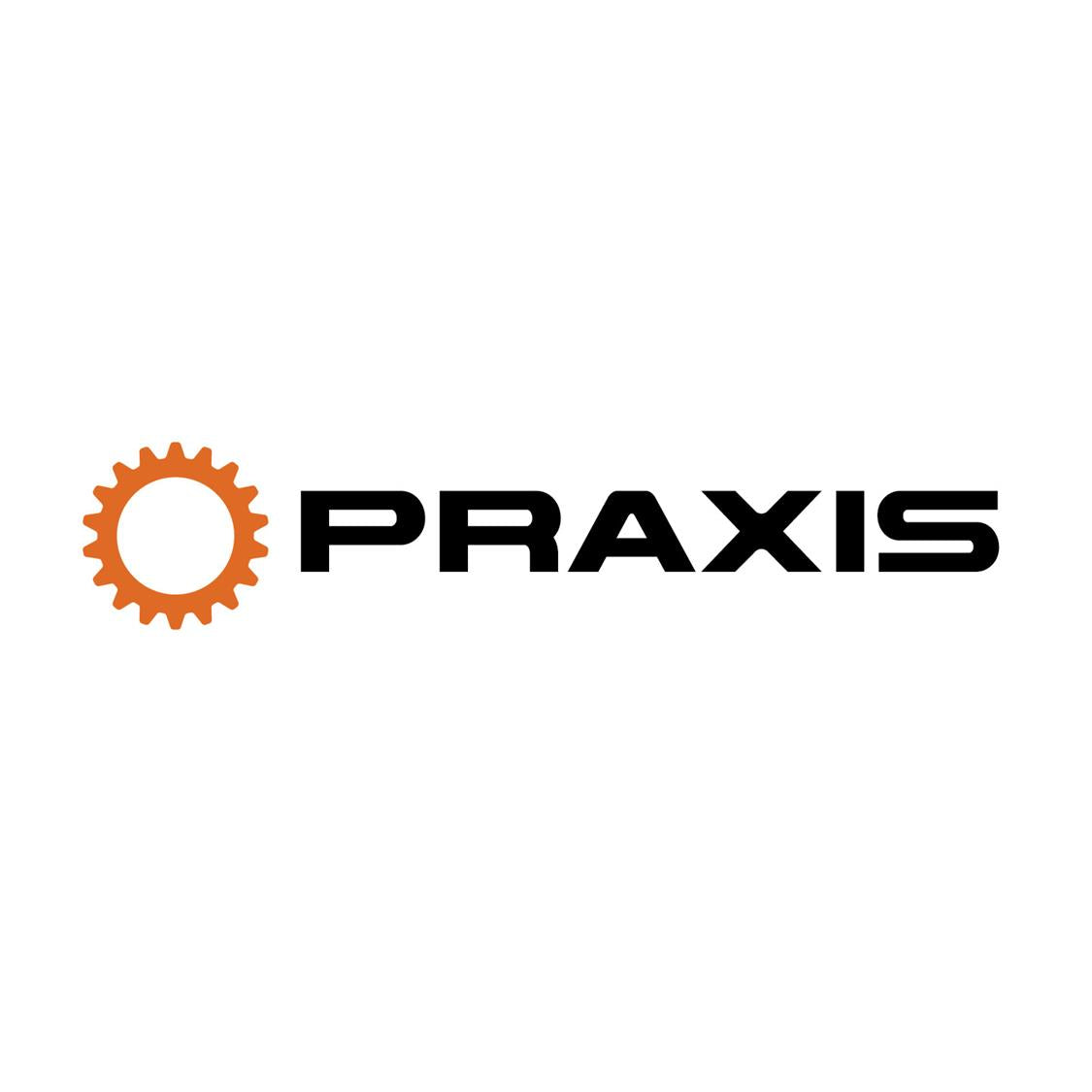 Praxis Logo Small