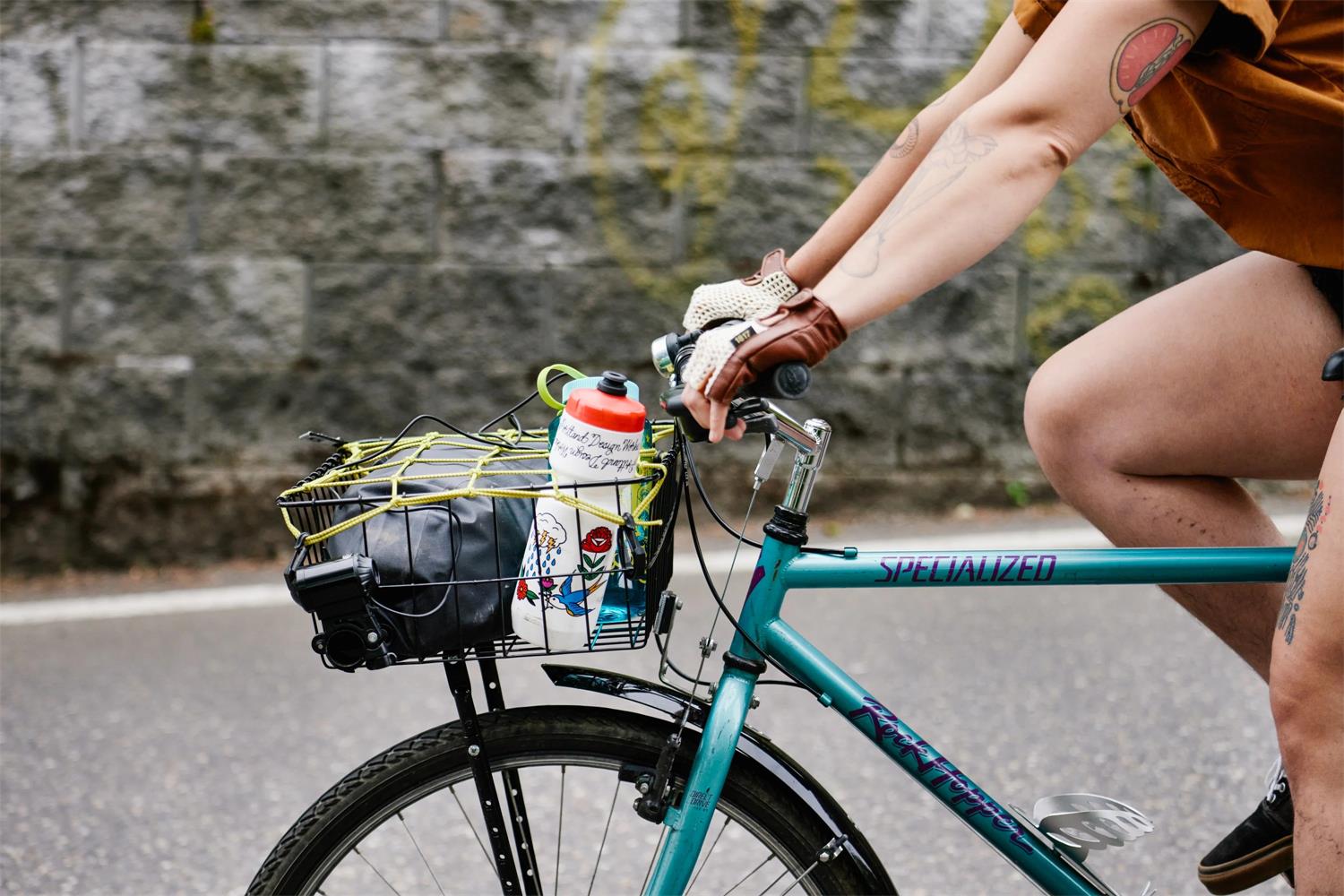 PDW Cargo Web 6