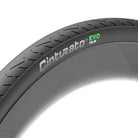 CINTURATO EVO TLR - 1