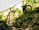Surly Sorceress spec 1