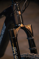 Cane Creek Invert Enduro fork