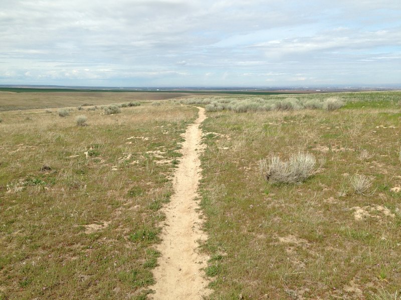 hardpack MTB