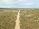 hardpack MTB