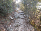 mixed MTB