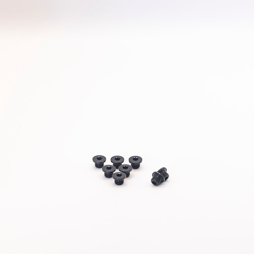 Campagnolo Chainwheel Bolts for Potenza and Centaur 4-arm Crankset FC-PO100