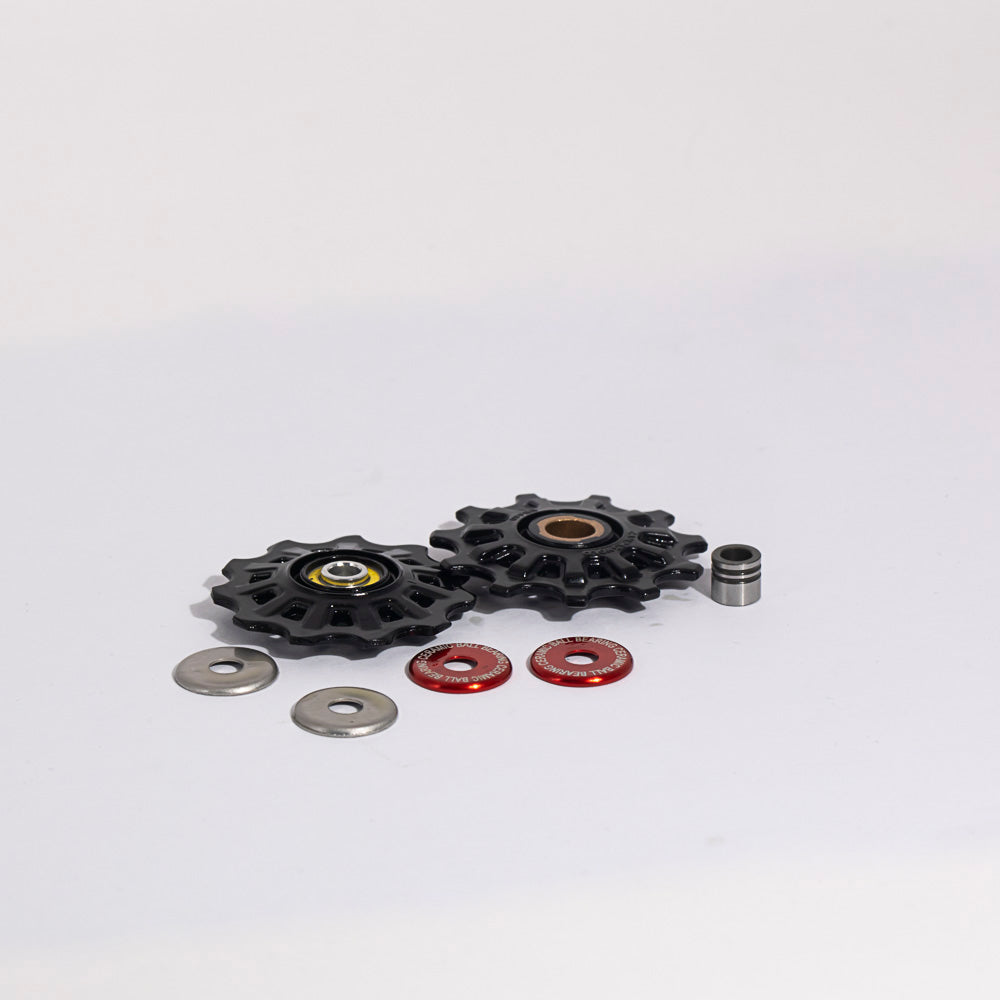 campagnolo record 10 with carbon cage and all 9 speed derailleur pulleys pair RD-RE600