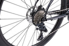 05_BT_MY24_Beyond_1_metallic_black_web_07